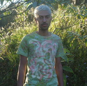 Cabbage Palm T